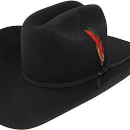 Spartan 6X Cattleman Black Fur Stetson Western