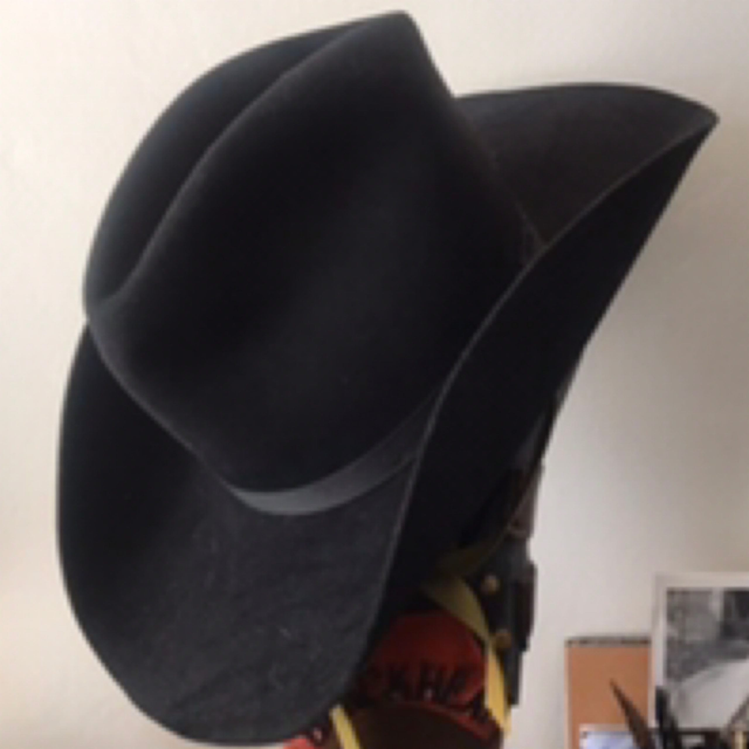 3X Resistol Western Beaver Fur Felt