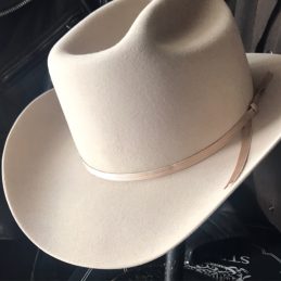 Range 6X Western Stetson Silverbelly