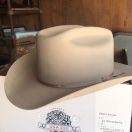 Range 6X 250 Anniversary Stetson Sliverbelly