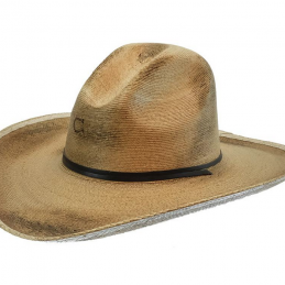 Dirt-Rode Gus Palm Straw Charlie1Horse