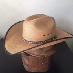 Stone Cold Mexico Western Palm Hat
